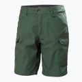 Helly Hansen мъжки къси панталони за трекинг Vandre Cargo green 62699_476 5