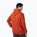 Мъжки суитшърт Helly Hansen Nord Graphic Pull Over Hoodie червен 62975_308 2