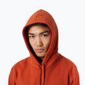 Мъжки суитшърт Helly Hansen Nord Graphic Pull Over Hoodie червен 62975_308 3