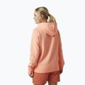 Дамски суитшърт Helly Hansen Nord Graphic Pullover Hoodie orange 62981_058 2