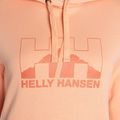 Дамски суитшърт Helly Hansen Nord Graphic Pullover Hoodie orange 62981_058 7