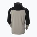 Helly Hansen Daybreaker Logo Hoodie terrazzo trekking sweatshirt за мъже 5