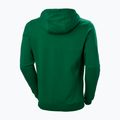 Мъжки потник за трекинг Helly Hansen F2F Organic Cotton Hoodie malachite 5