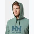 Helly Hansen HH Logo Hoodie cactus за мъже 3