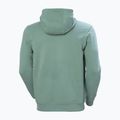 Мъжки суитшърт Helly Hansen HH Logo cactus 6