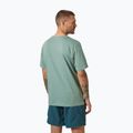 Мъжка тениска Helly Hansen HH Logo cactus 2