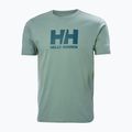 Мъжка тениска Helly Hansen HH Logo cactus 4