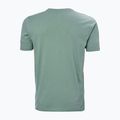 Мъжка тениска Helly Hansen HH Logo cactus 5