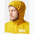 Мъжко ветроходно яке Helly Hansen Salt Stripe Windbreaker gold rush 3