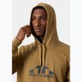 Helly Hansen Nord Graphic Pull Over Hoodie за мъже lynx 3