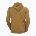 Helly Hansen Nord Graphic Pull Over Hoodie за мъже lynx 6