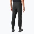 Мъжки панталони за трекинг Helly Hansen Vika Tur Pant 2.0 black 2