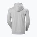 Мъжки Helly Hansen Nord Graphic Pull Over Hoodie grey melang 2