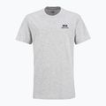 Мъжка тениска Helly Hansen Nord Graphic grey melang