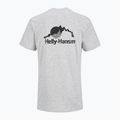 Мъжка тениска Helly Hansen Nord Graphic сив меланж 2