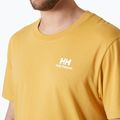 Мъжка тениска Helly Hansen Nord Graphic sand 3