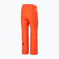 Мъжки ски панталони Helly Hansen Sogn Cargo cherry tomato 2