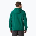 Helly Hansen HH Logo Hoodie 2.0 emerald - мъжки 2