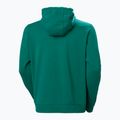 Helly Hansen HH Logo Hoodie 2.0 emerald - мъжки 6