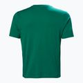 Мъжка тениска Helly Hansen Logo 2.0 emerald 5