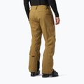 Helly Hansen Legendary Insulated lynx мъжки ски панталони 2