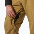 Helly Hansen Legendary Insulated lynx мъжки ски панталони 4