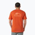 Мъжка тениска Helly Hansen Nord Graphic patrol orange 2