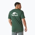Мъжка тениска Helly Hansen Nord Graphic T jungle green 2