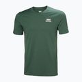 Мъжка тениска Helly Hansen Nord Graphic T jungle green 4