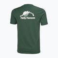 Мъжка тениска Helly Hansen Nord Graphic T jungle green 5