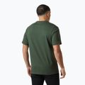 Мъжка тениска Helly Hansen Box T 2.0 jungle green 2