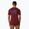 Мъжка тениска Helly Hansen Nord Graphic mars red 2