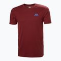 Мъжка тениска Helly Hansen Nord Graphic mars red 4