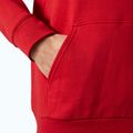 Мъжки суитшърт Helly Hansen HH Logo Hoodie red 4