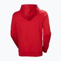 Мъжки суитшърт Helly Hansen HH Logo Hoodie red 6