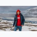 Мъжки суитшърт Helly Hansen HH Logo Hoodie red 7