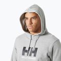 Мъжки суитшърт Helly Hansen HH Logo Hoodie grey/melange 3