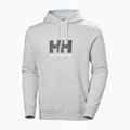 Мъжки суитшърт Helly Hansen HH Logo Hoodie grey/melange 5