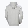 Мъжки суитшърт Helly Hansen HH Logo Hoodie grey/melange 6