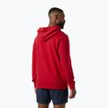 Мъжки суитшърт Helly Hansen Core Graphic Hoodie red 2