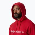 Мъжки суитшърт Helly Hansen Core Graphic Hoodie red 3