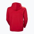 Мъжки суитшърт Helly Hansen Core Graphic Hoodie red 6