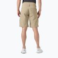 Мъжки шорти за ветроходство Helly Hansen Crewline 2.0 pebble 2