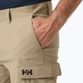 Мъжки шорти за ветроходство Helly Hansen QD Cargo 11“ pebble 3