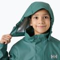 Детско яке за ветроходство Helly Hansen Moss opal green 3
