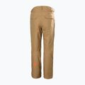 Мъжки скиорски панталони Helly Hansen Sogn Cargo elmwood 7