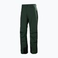 Мъжки скиорски панталони Helly Hansen Legendary Insulated dark jungle