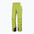 Мъжки скиорски панталони Helly Hansen Legendary Insulated pulse green
