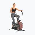 Schwinn Airdyne Ad2I въздушен велосипед 100430 2