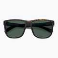 Polaroid PLD 2155/S мъжки матовокафяви слънчеви очила в цвят хавана/зелено с поляризация 4